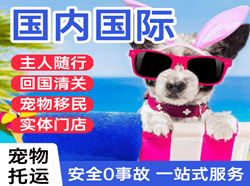 桂林两江机场托运国际宠物托运 【国